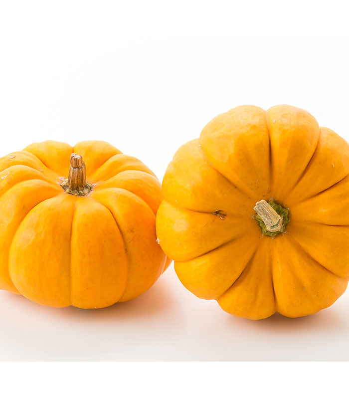 тыква мускатная ананасная. тыква сорт дынная.